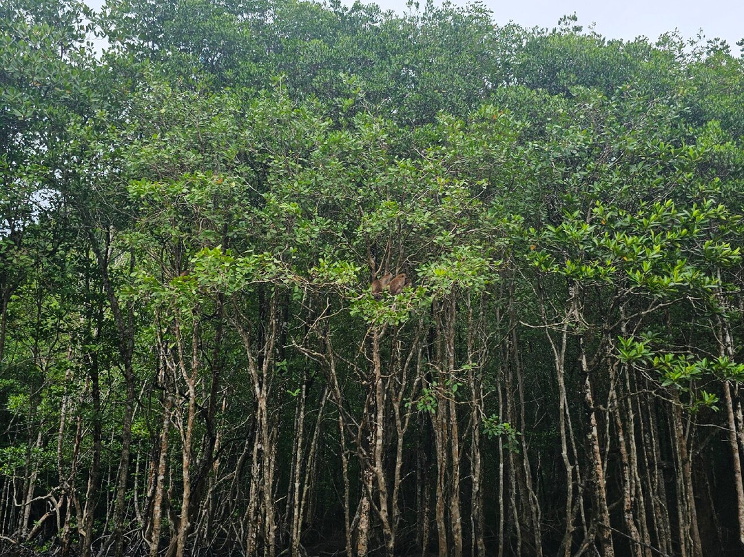 Russian Guide in Langkawi-兰卡威必去景点