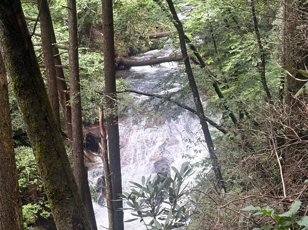 Dukes Creek Falls Trail-海伦必去景点