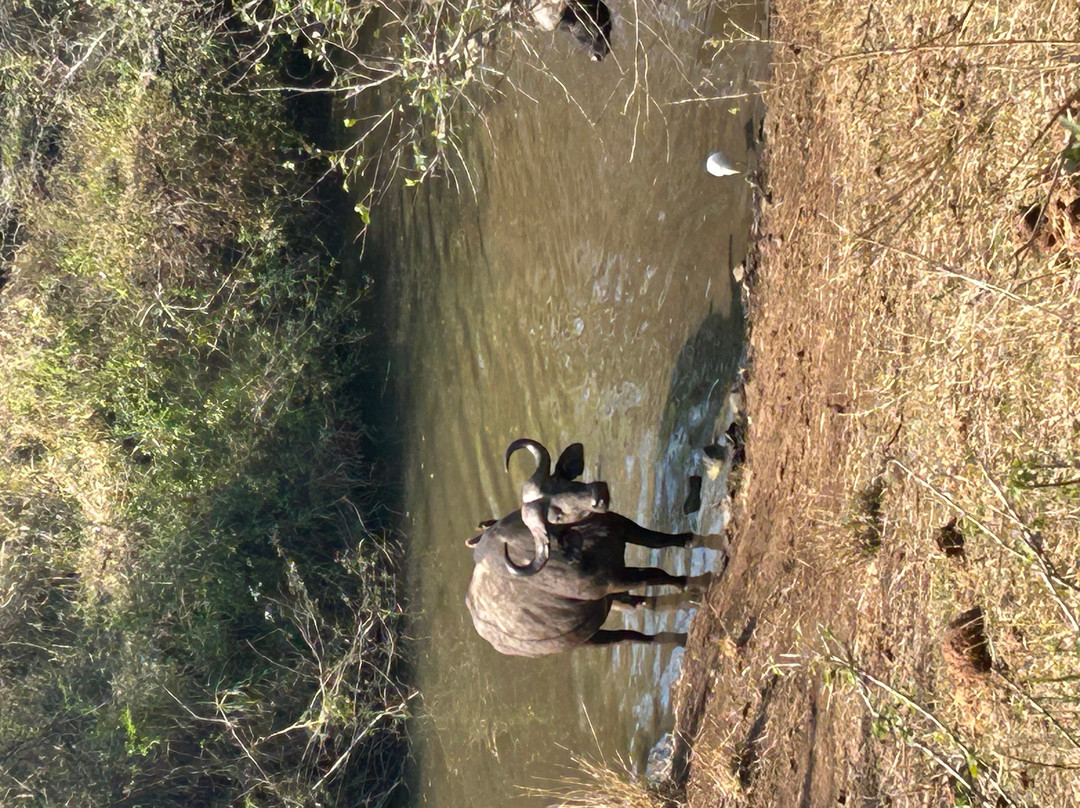 EuroZulu Guided Tours & Safaris-圣露西亚必去景点