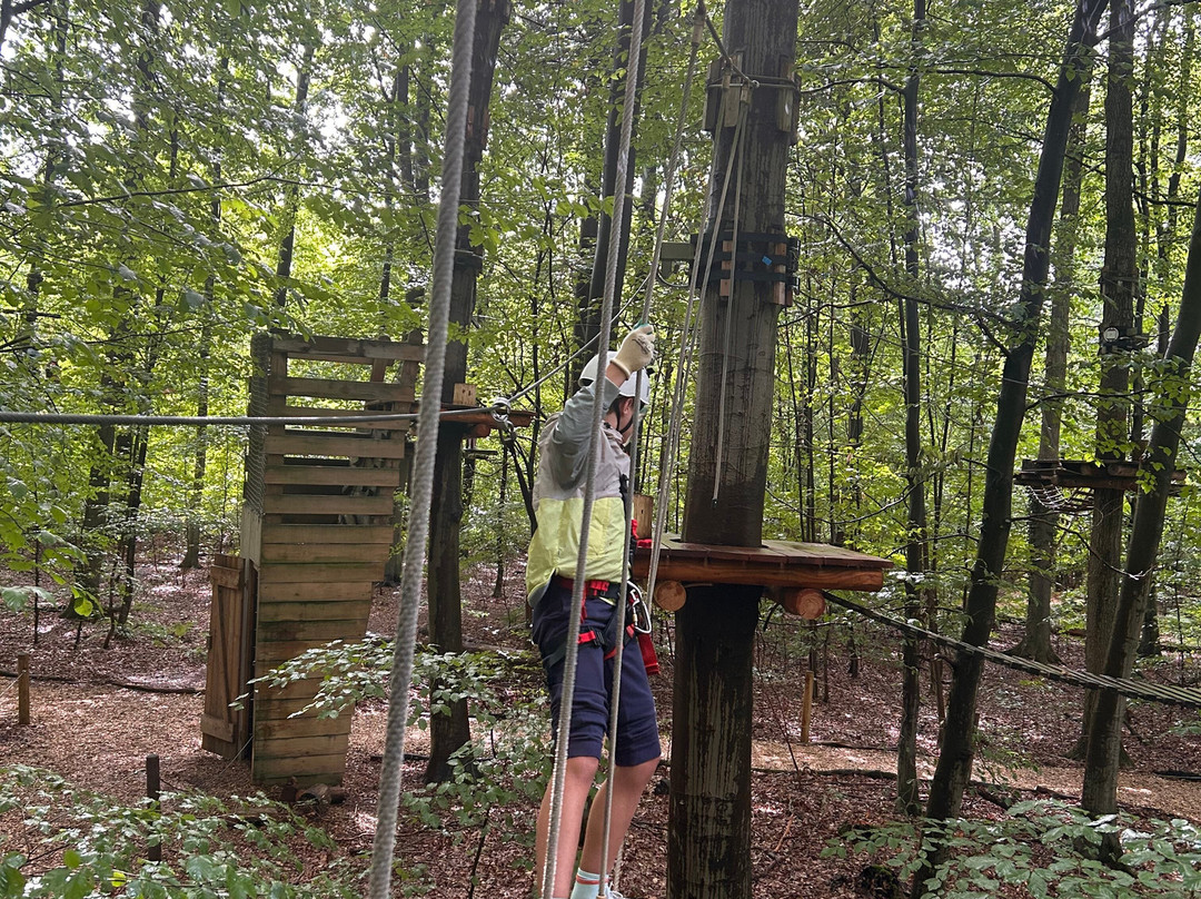 Kletterwald Hamburg-汉堡必去景点