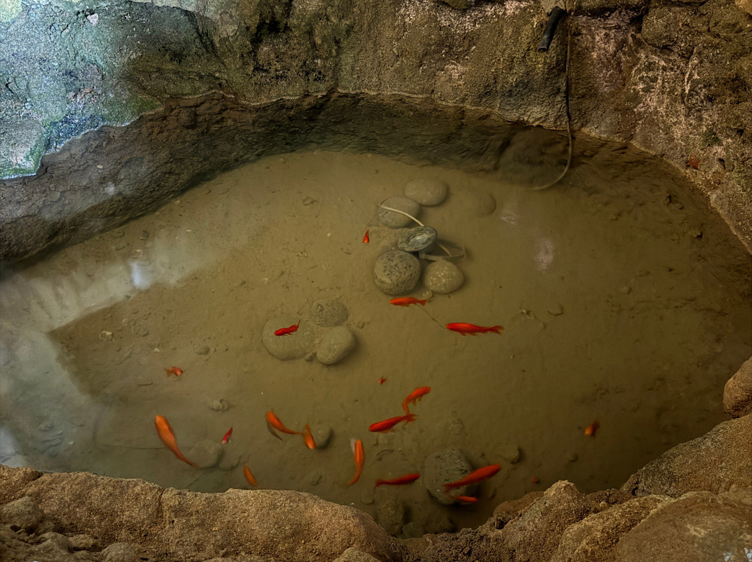 Piedigrotta Church-皮佐必去景点