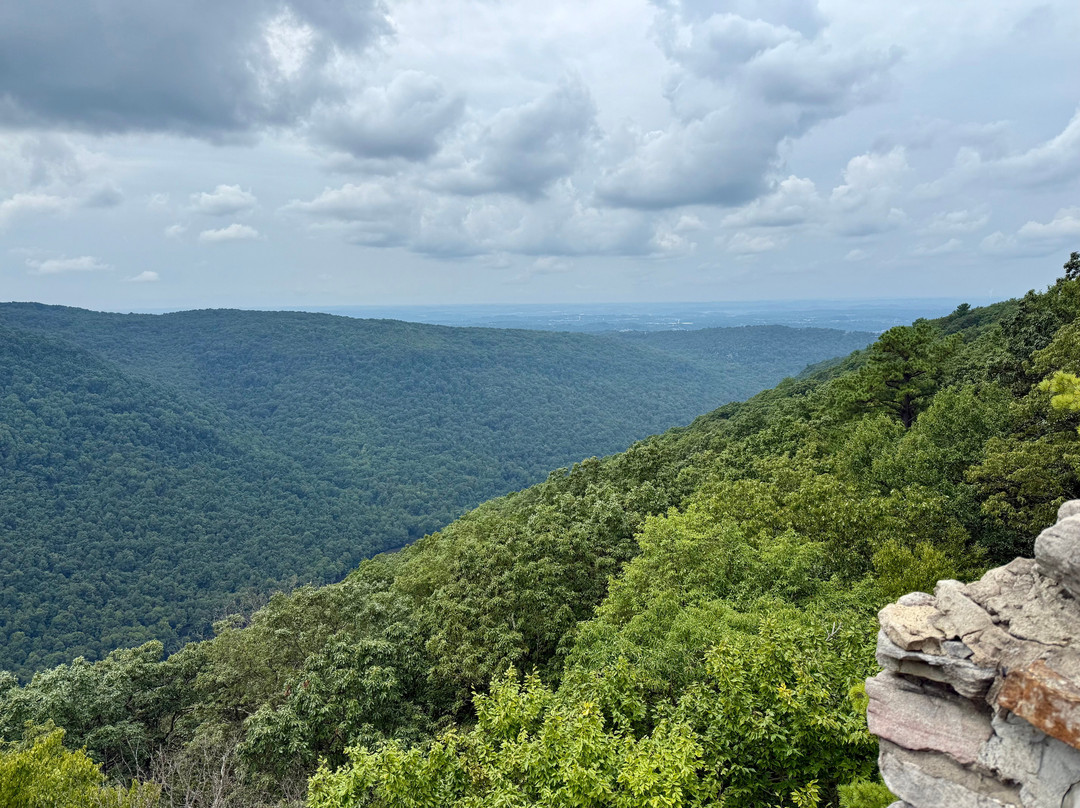 Coopers Rock State Forest-Bruceton Mills必去景点