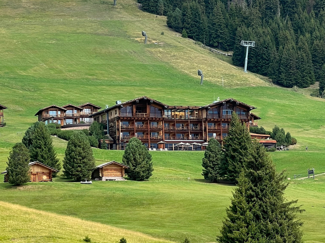 ADLER Lodge ALPE主图