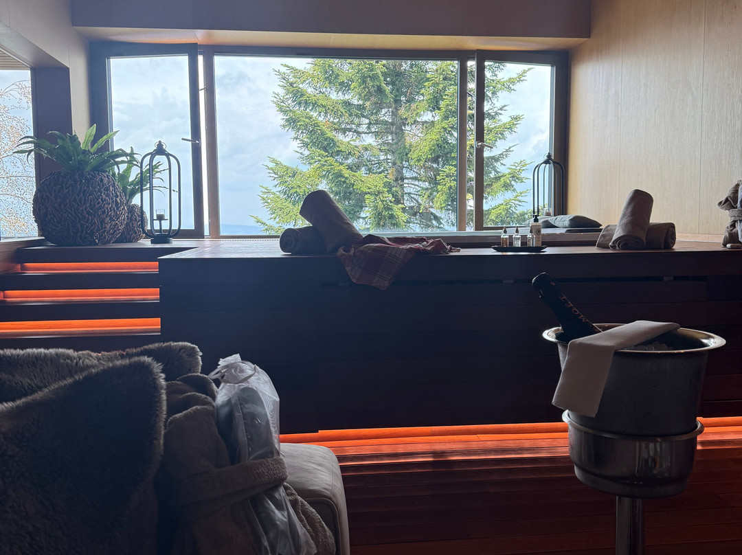 Bürgenstock Hotel & Alpine Spa主图
