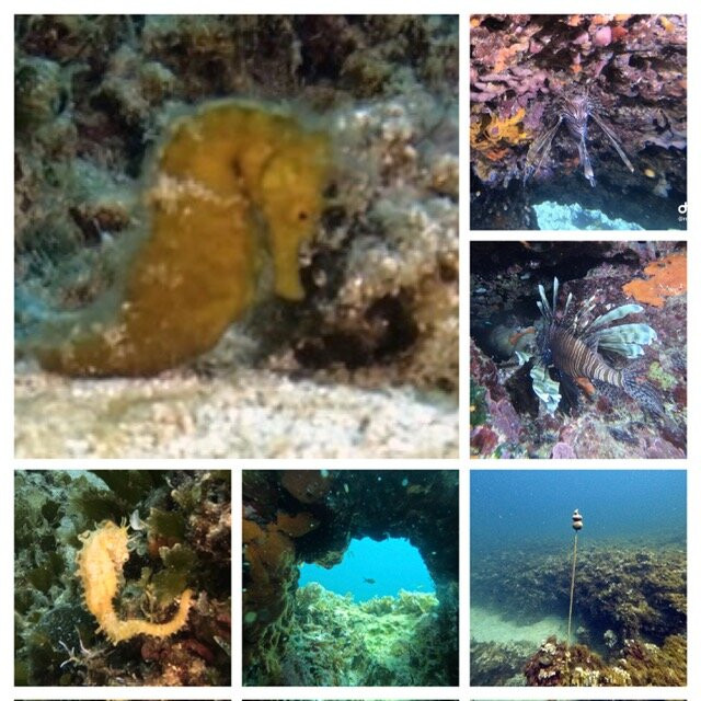 Oltremare Diving Center-纳尔德奥必去景点