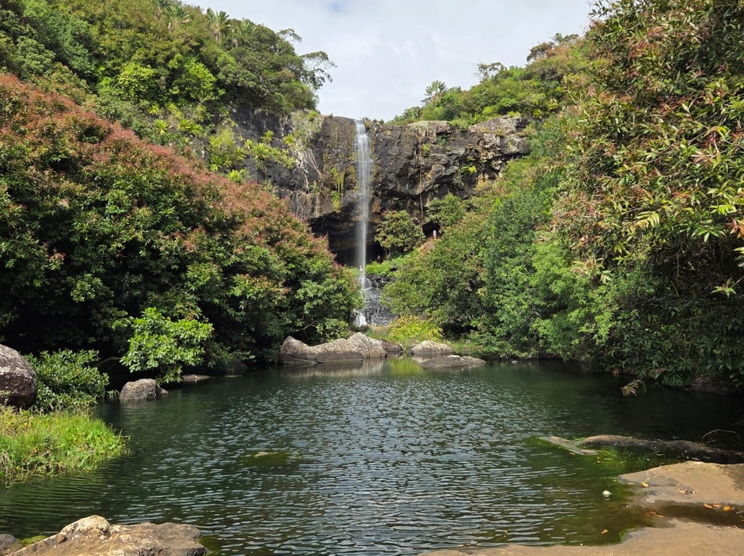 Enfants Nature Mauritius-Black River必去景点