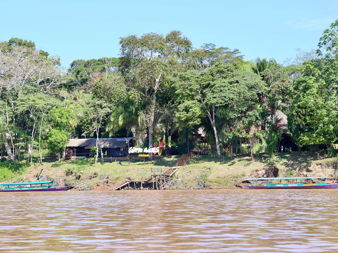 Corto Maltes Amazonia Lodge主图