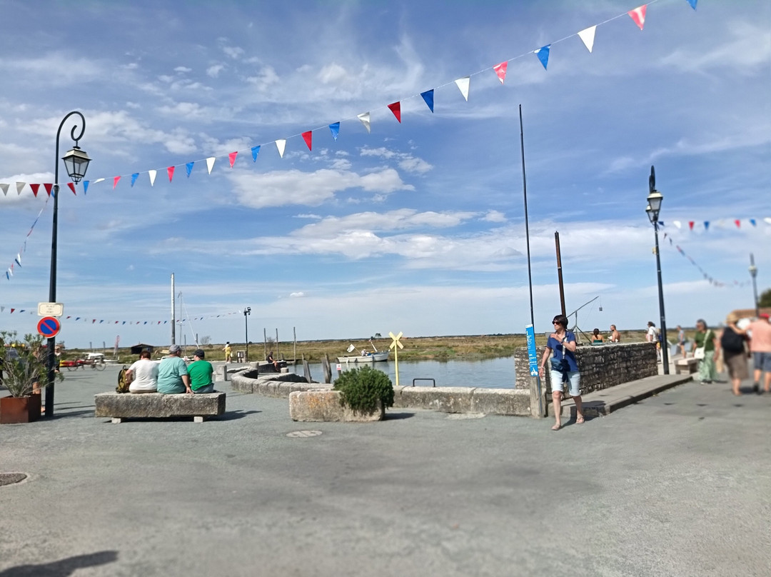 Les Eaux Calmes, Mornac Sur Seudr