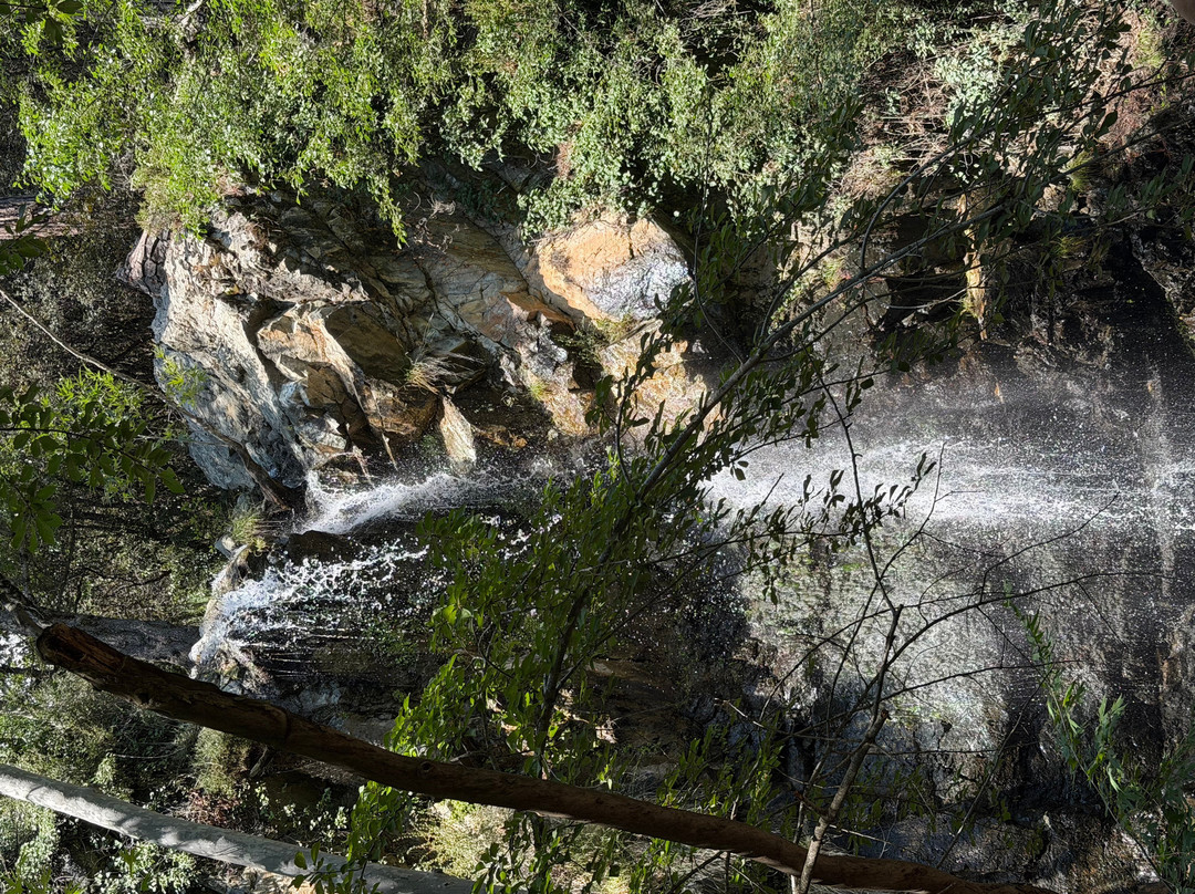 Caledonia Waterfall-帕拉翠斯必去景点