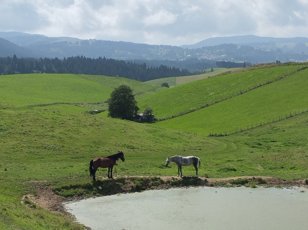 Strada Del Vecchio Trenino-阿夏戈必去景点