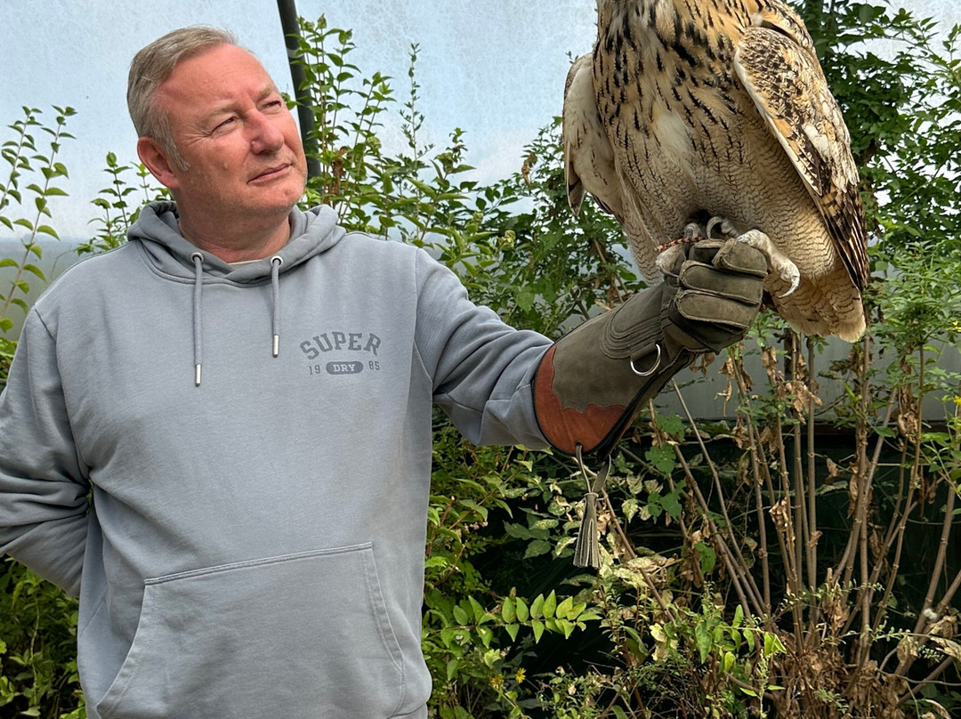 Baytree Owl and Raptor Centre-Spalding必去景点