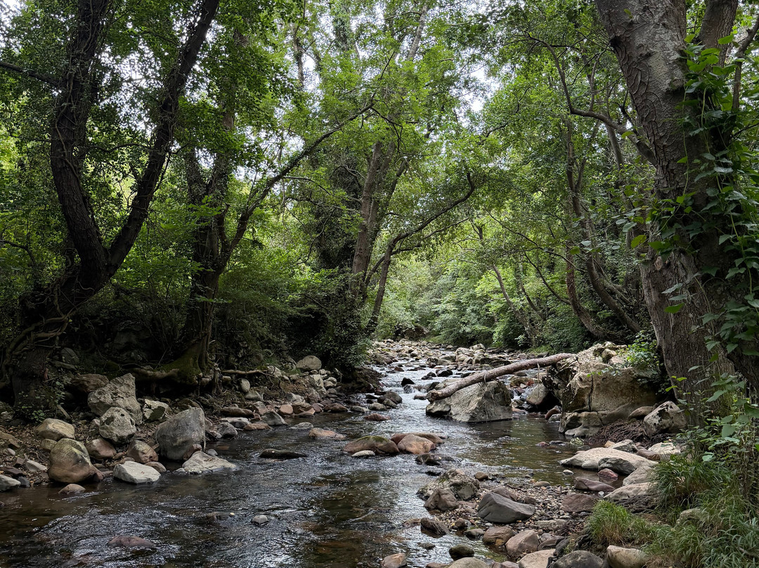 Senda Del Oso Experience - Teverastur-Teverga Municipality必去景点