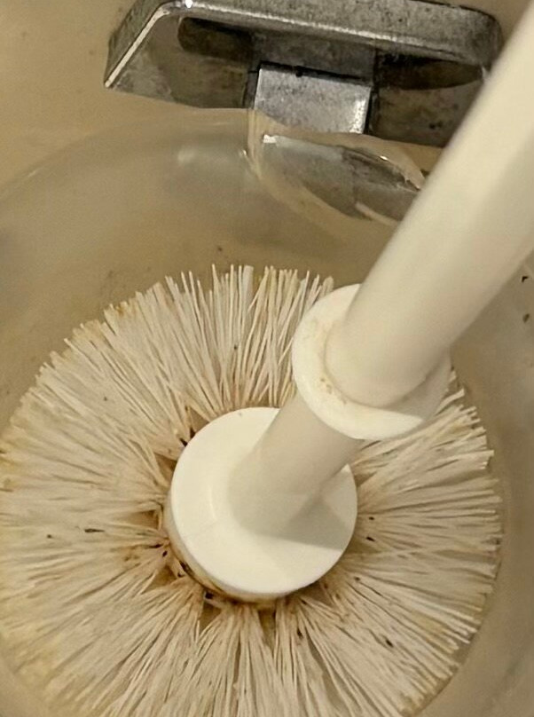 阿姆斯特丹竞技场OZO酒店主图