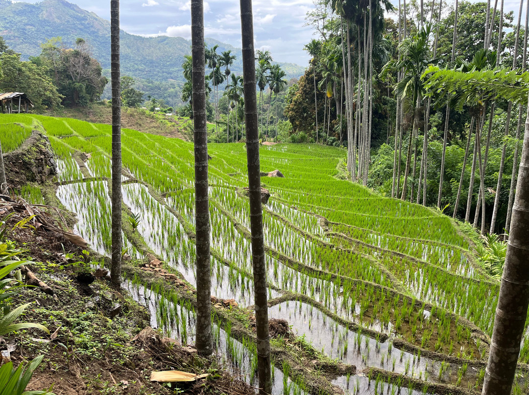 Alysia Travels Lanka-Katana必去景点