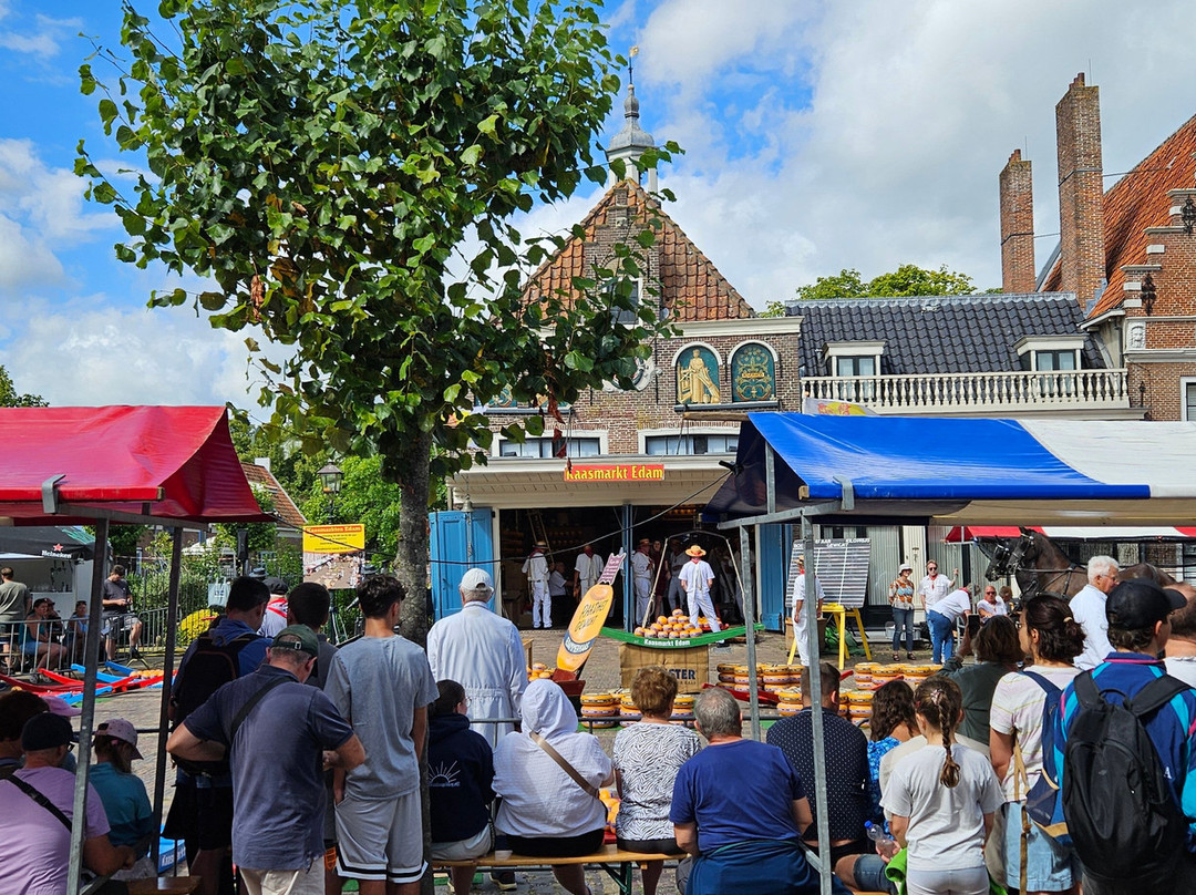 Edam Cheese Market-Edam必去景点