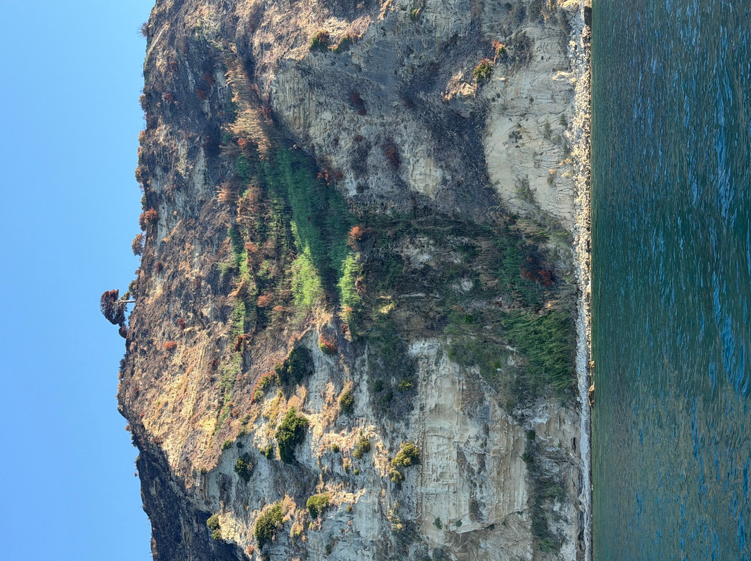 Fishing Tourism Kefalonia Dimitrios-Efthimia-Katelios必去景点
