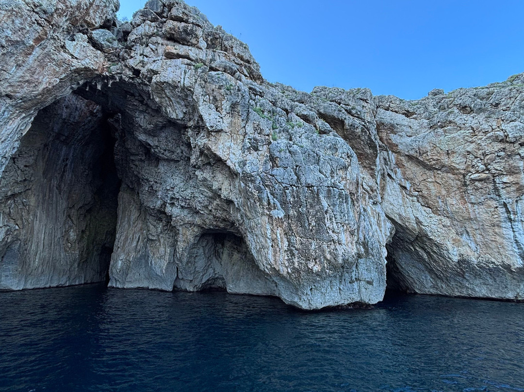 Escursioni Nemo-Torre Vado必去景点