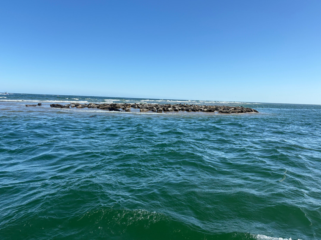 Monomoy Island Excursions-Harwich Port必去景点