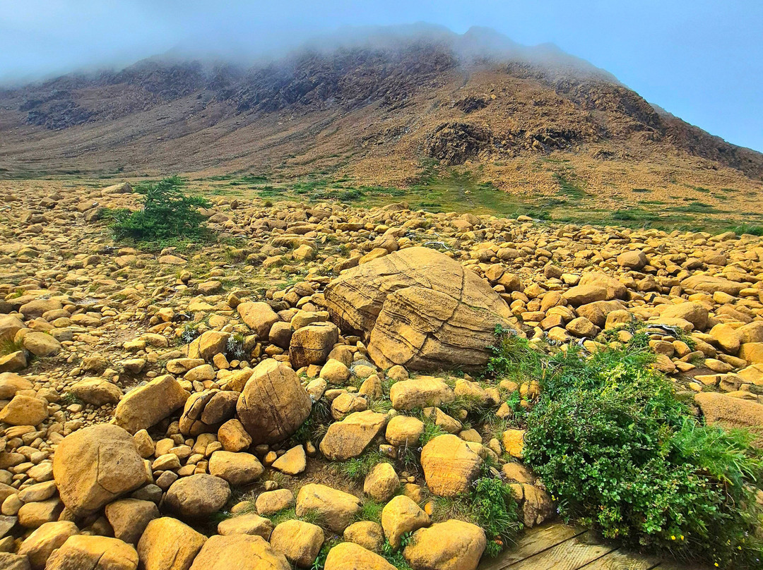 Gros Morne National Park-Rocky Harbour必去景点