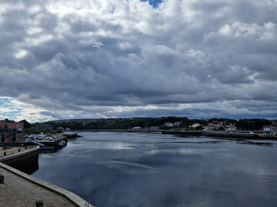 Berwick Boat Trips-特威德河畔贝里克必去景点
