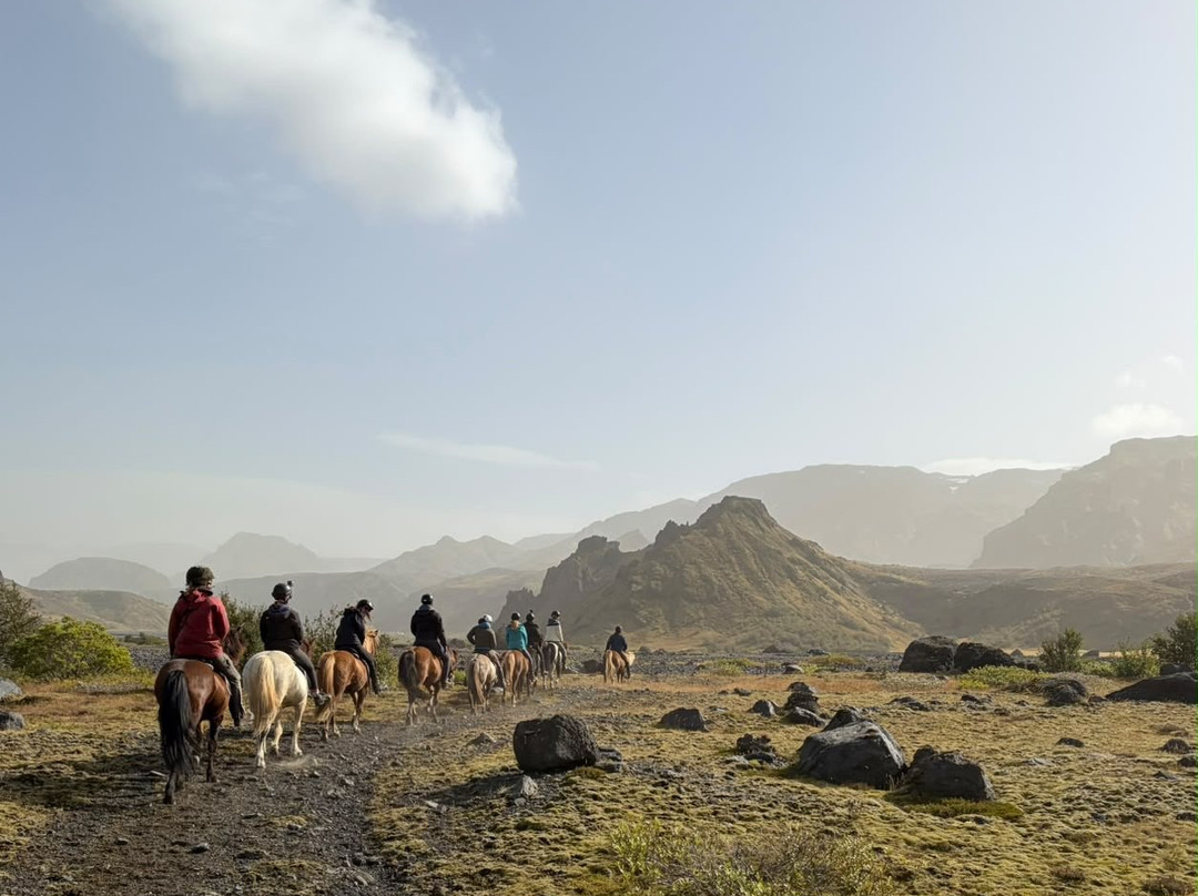 Eldhestar Volcano Horses-Olfus必去景点