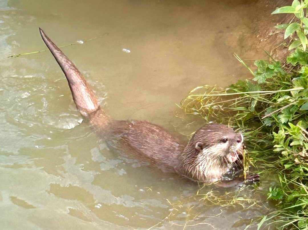 Bridlington Animal Park-布里德灵顿必去景点