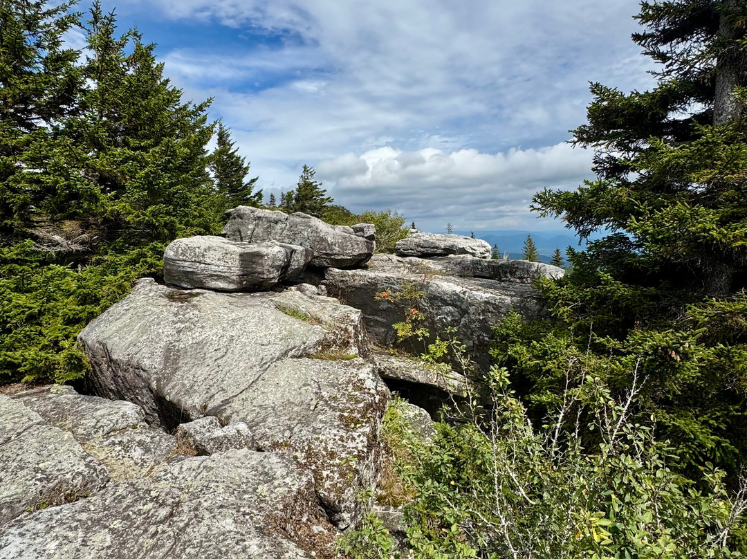 Bear Rocks Preserve-戴维斯必去景点