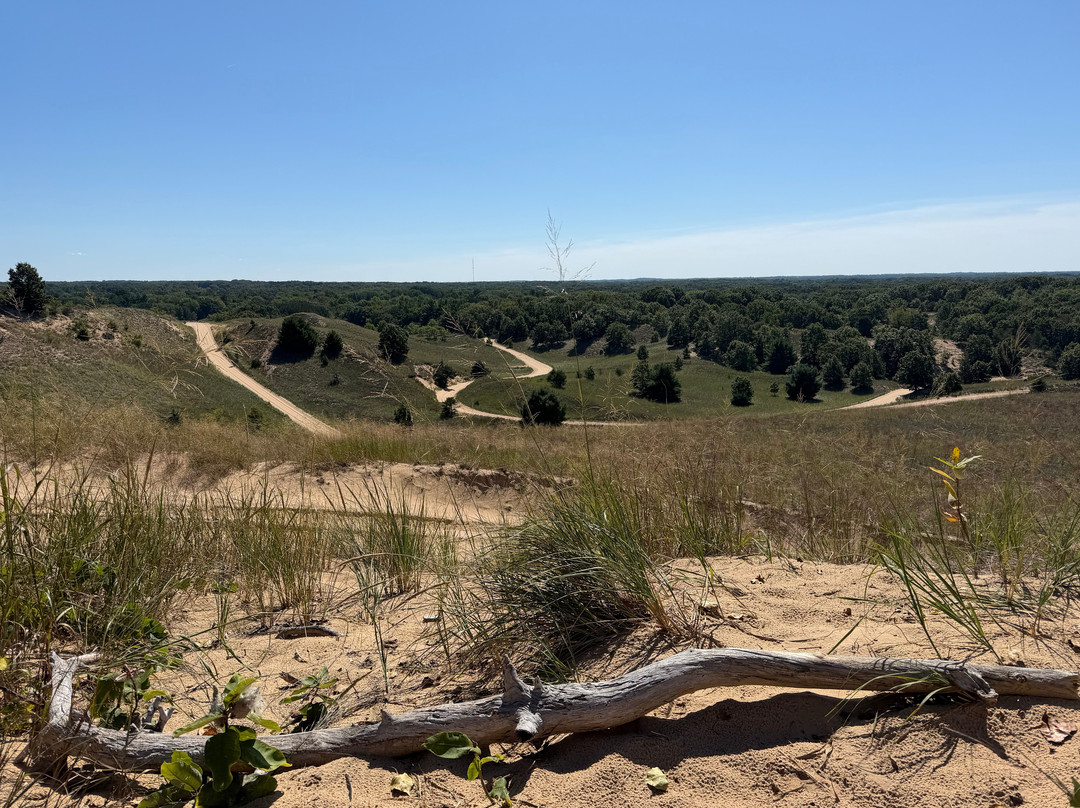 Saugatuck Dune Rides-索格塔克必去景点