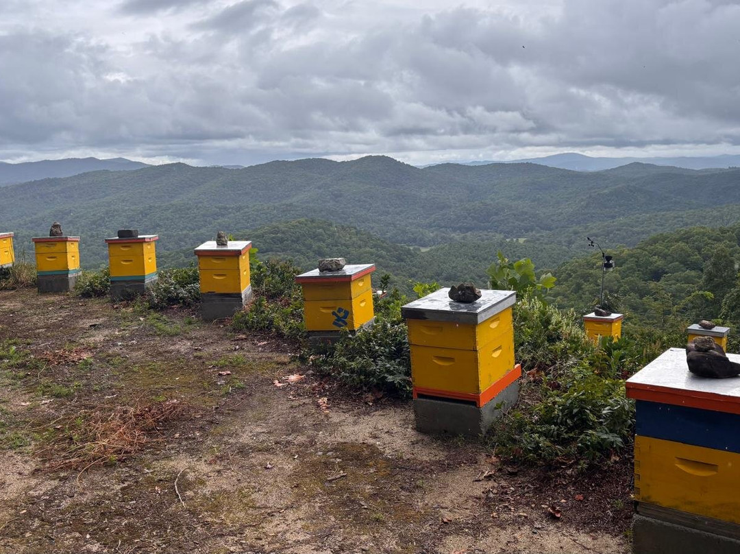 Killer Bees Honey-Lake Toxaway必去景点