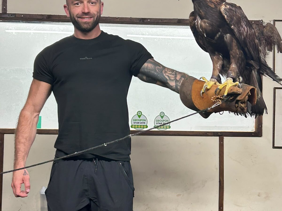 Riverside Falconry-纽卡斯尔必去景点