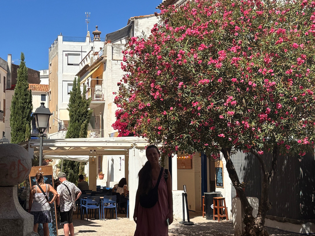 Playa de Sitges-锡切斯必去景点