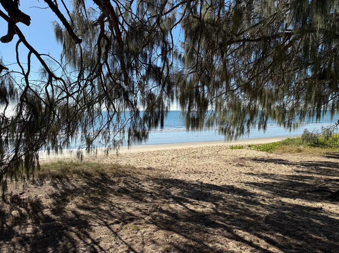 Woodgate Beach-邦德堡必去景点