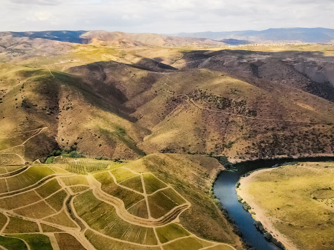 Quinta de Ervamoira-Vila Nova de Foz Coa必去景点
