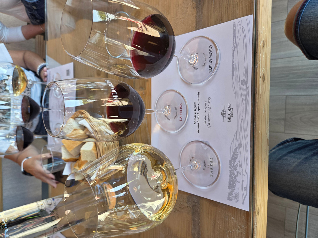 Emilio Moro Bodegas-Pesquera de Duero必去景点