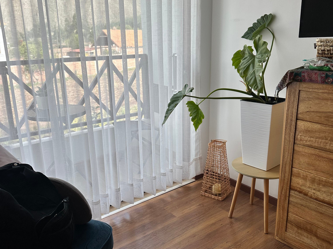 拉维拉的花主图