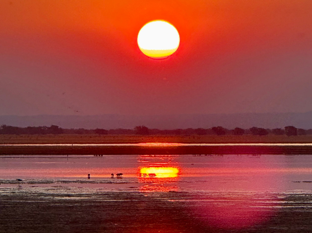 Parque Nacional Da Gorongosa-Gorongosa National Park必去景点