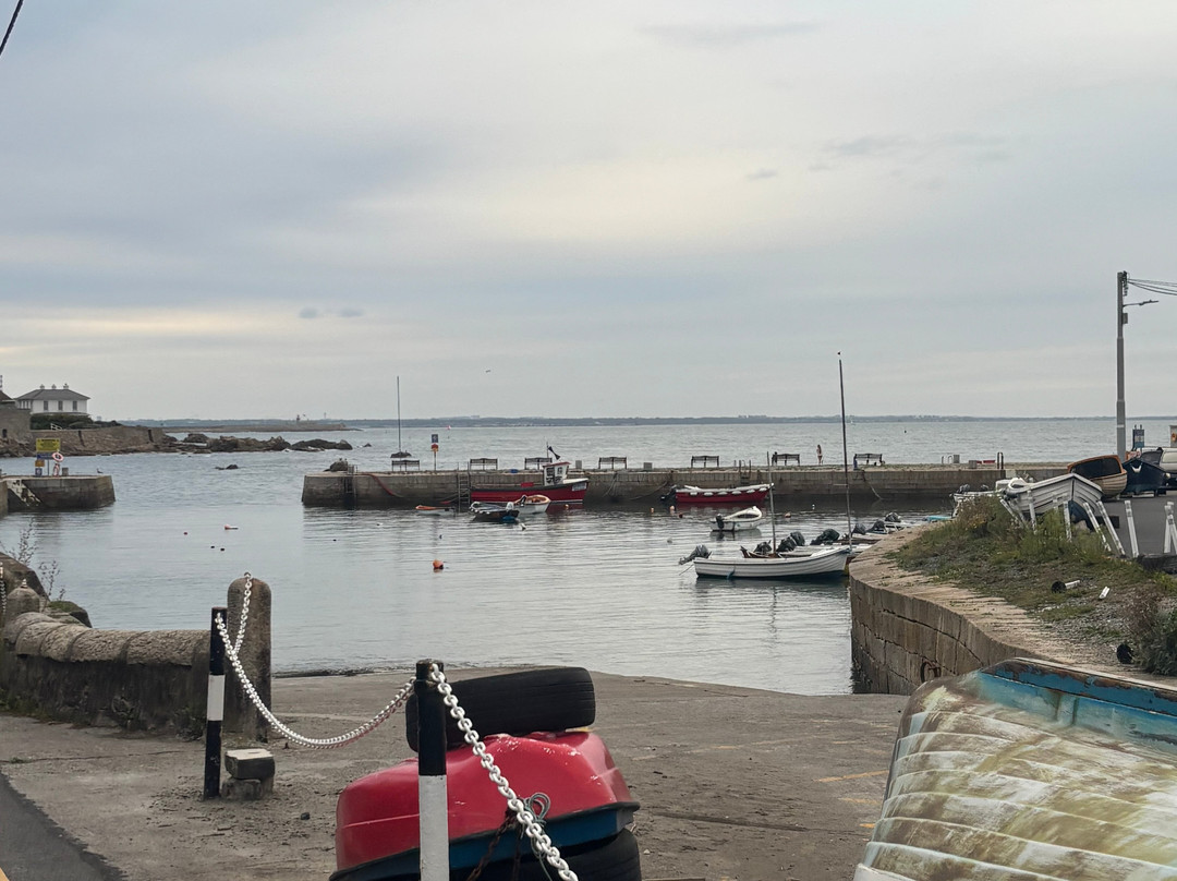 Bulloch Harbour-达尔基必去景点