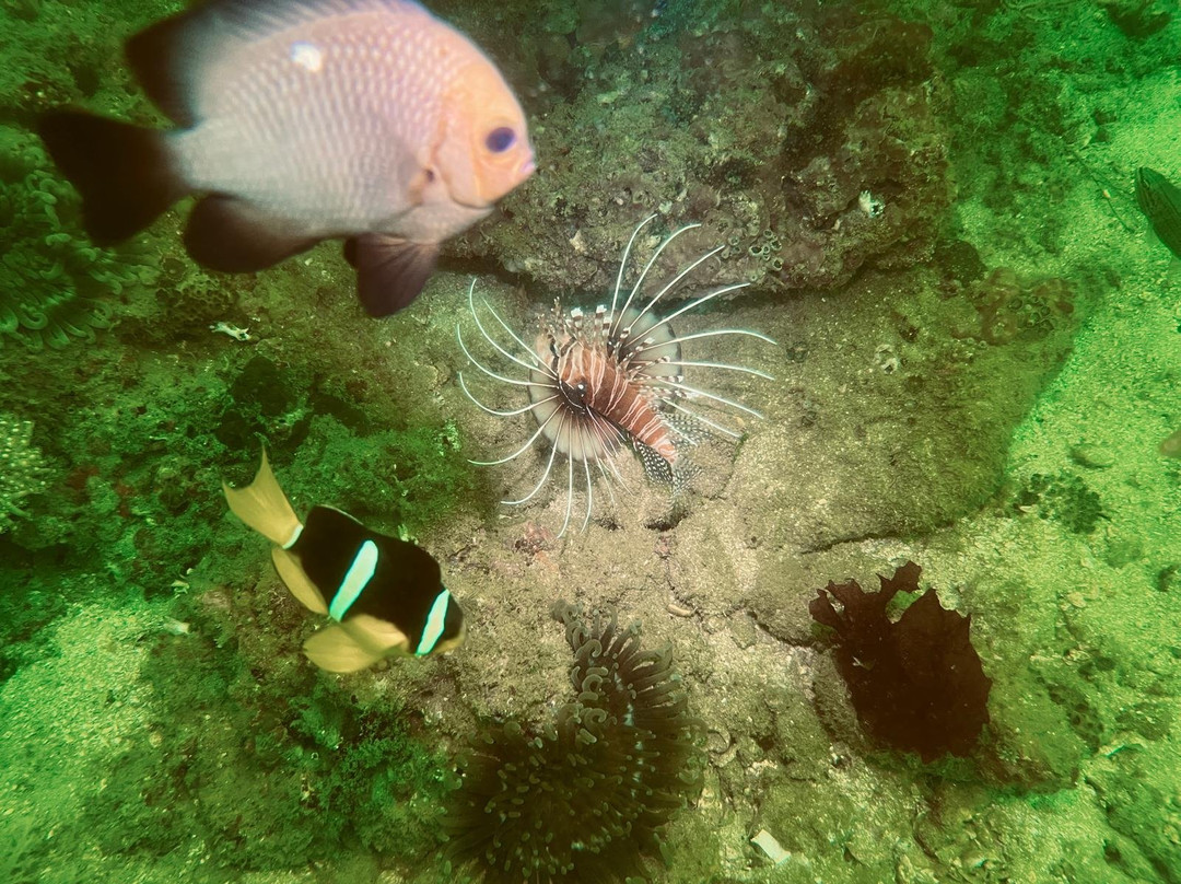 Extra Divers Sifah-As Sifah必去景点