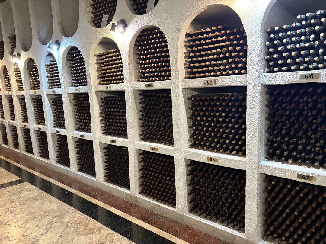 Cricova Winery-Cricova必去景点