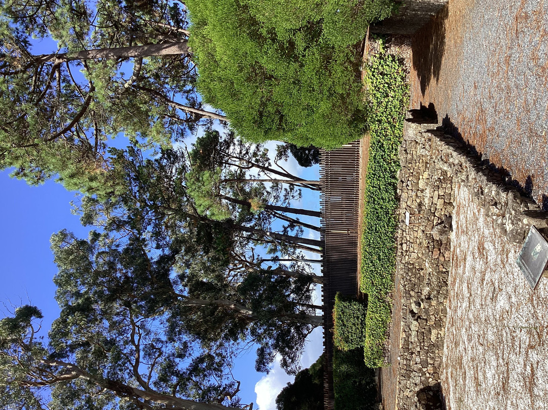 Villa Romana de Toralla-比戈必去景点