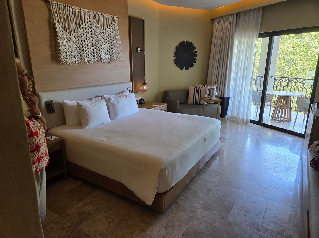 玛雅海滨Hyatt奇乐全包式酒店 - 限成人主图