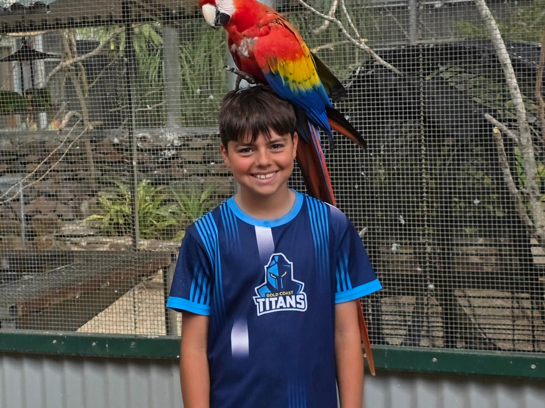 Maleny Botanic Gardens & Bird World-马莱尼必去景点