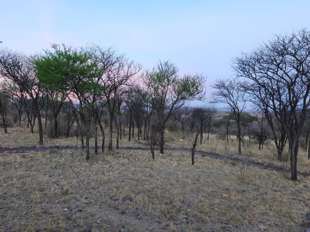 Mbuni Tented Camps-Seronera必去景点