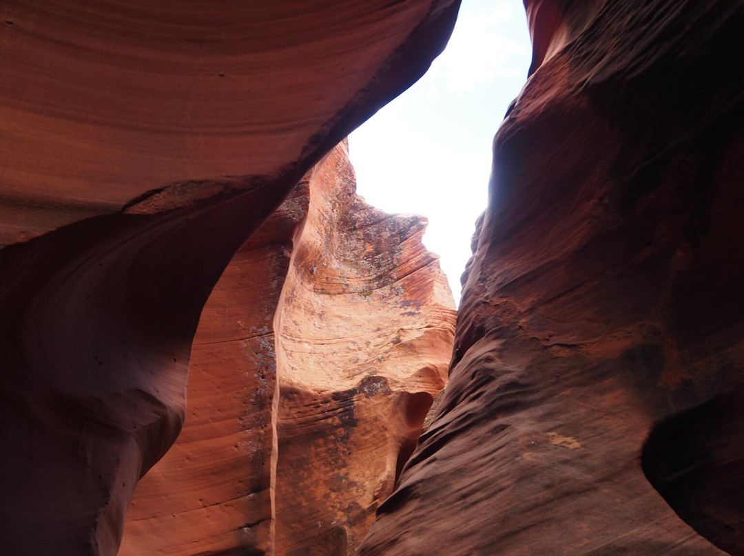 Black Streak Canyon Tours-佩吉必去景点