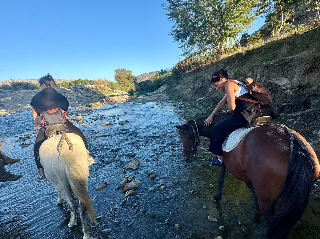 Konispol Horse Riding Tours-Konispol必去景点