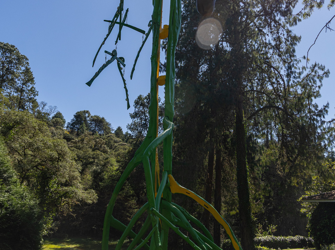 Parque Bambui-坎普斯－杜若尔当必去景点