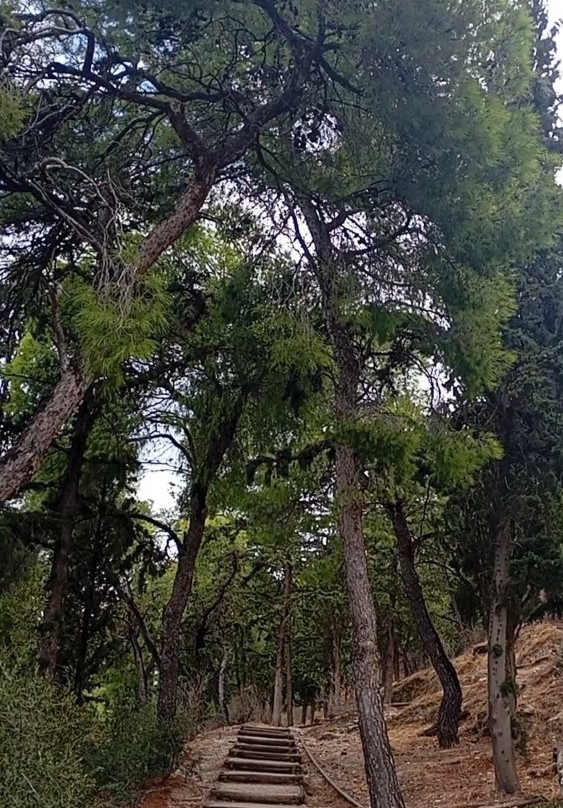 利卡贝托山-雅典必去景点