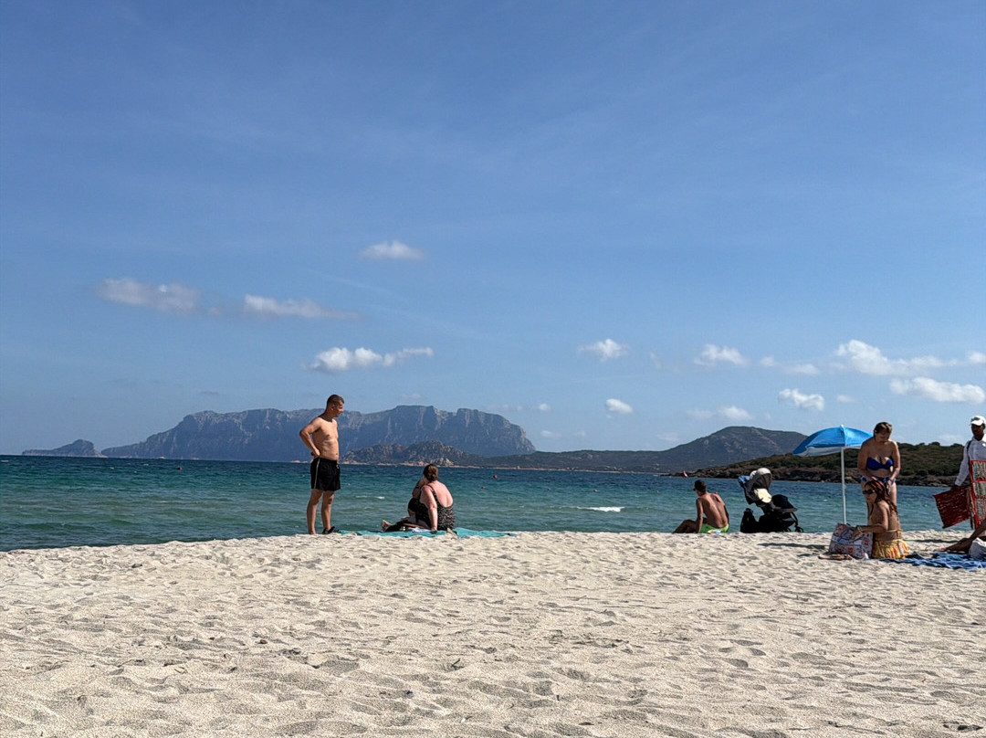 Spiaggia Pittulongu - La Playa-奥尔比亚必去景点