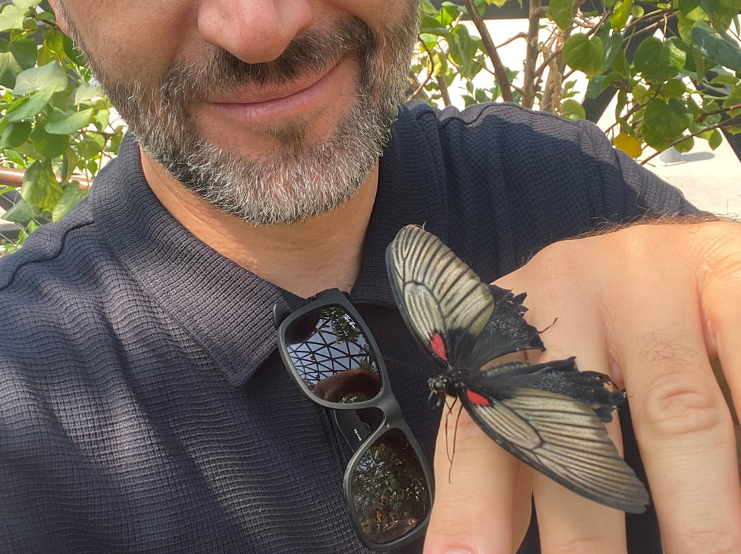 The Butterfly Gardens Abu Dhabi-阿布扎比必去景点
