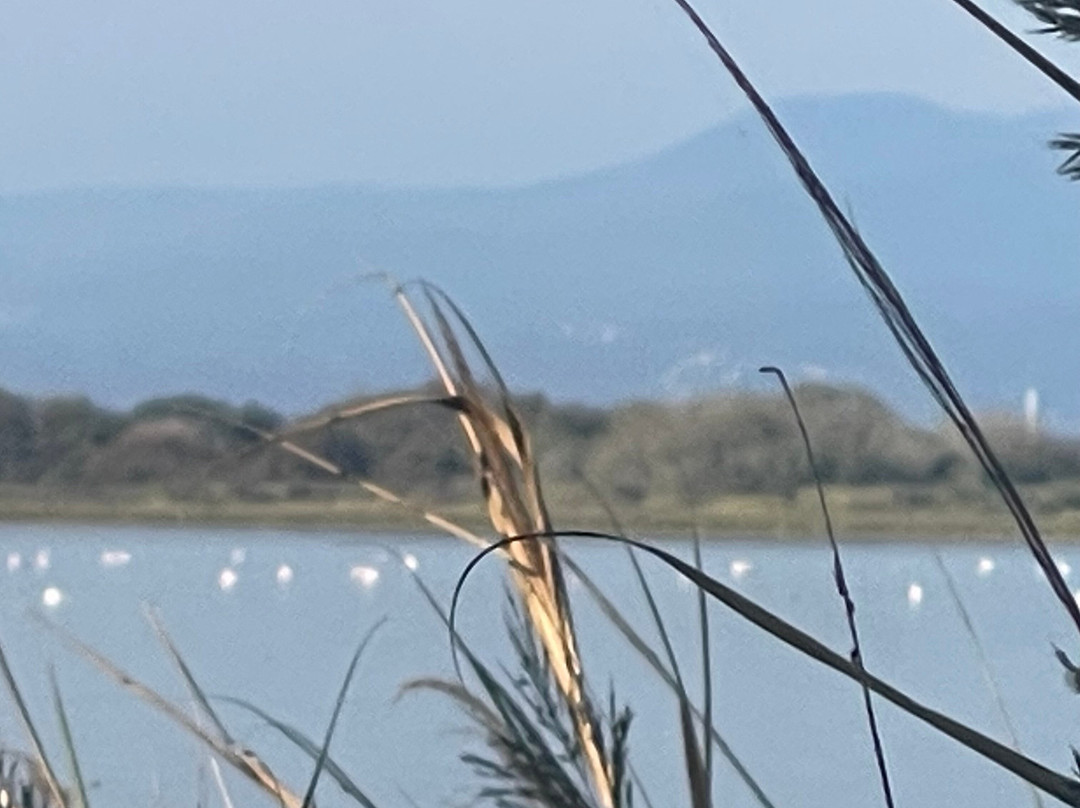 Mar Estang - Camping Siblu